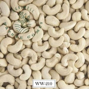 Vietnam Cashew Nut WW210