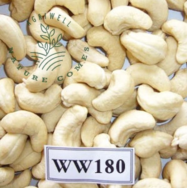 Vietnam Cashew Nut WW180