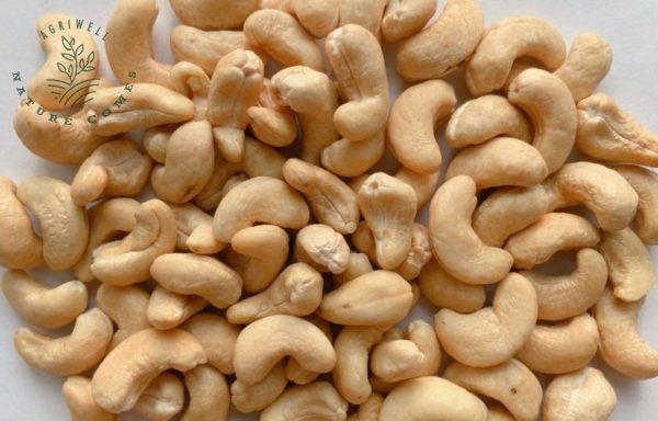 Vietnam Cashew Nut SW320