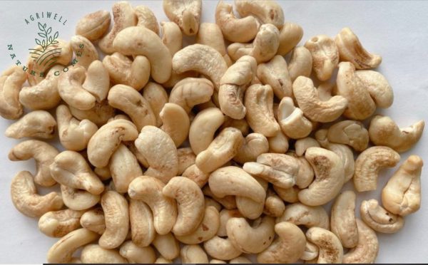 Vietnam Cashew Nut DW