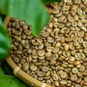 Robusta FAQ Coffee