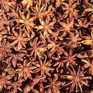 Autumn Star Anise