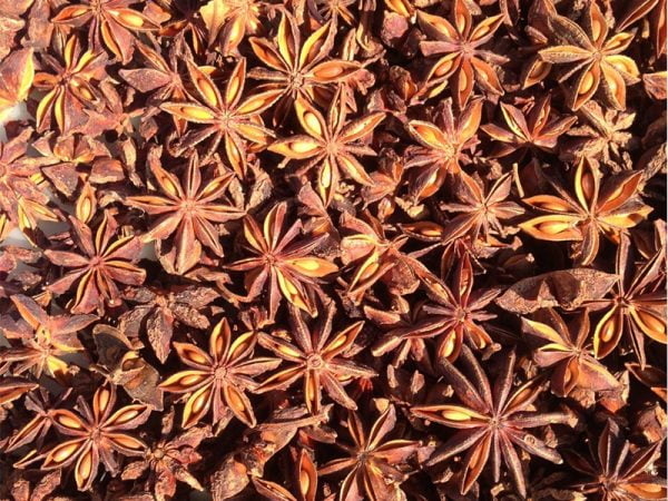 Autumn Star Anise