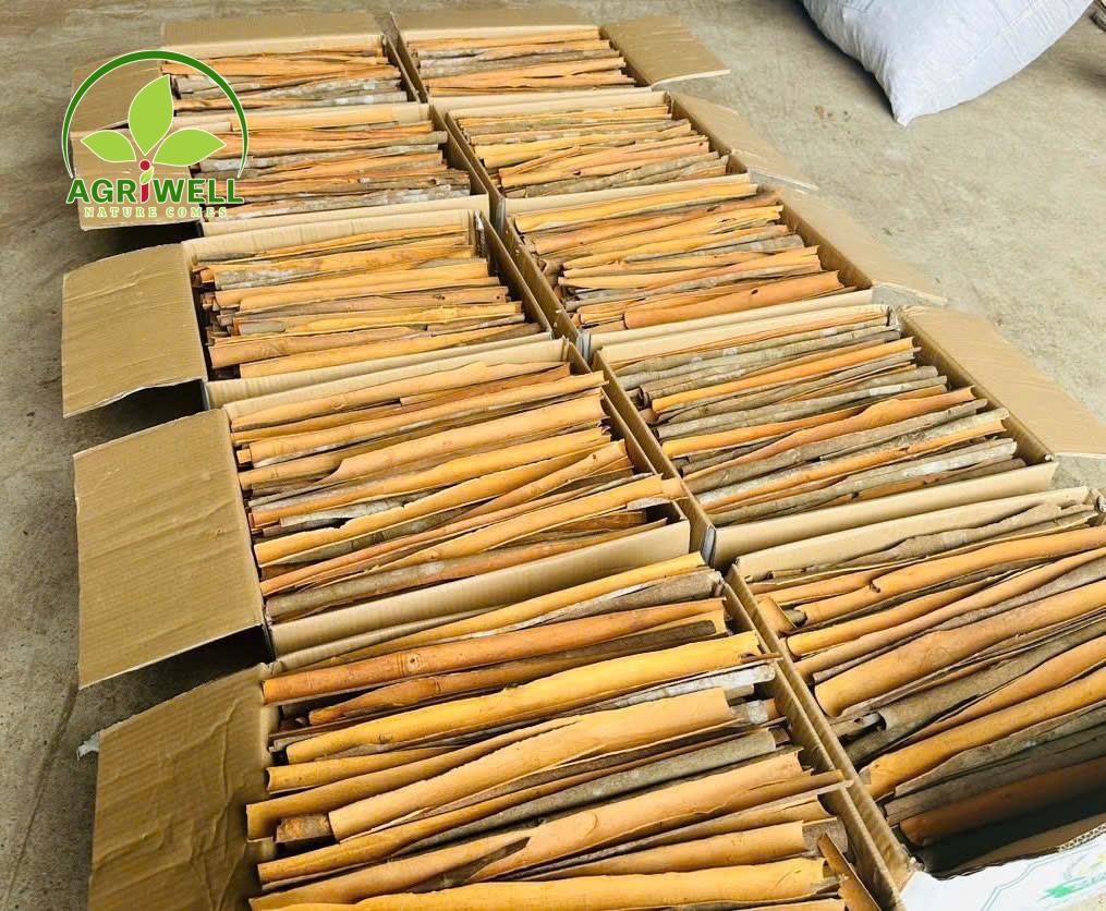 Vietnam Cinnamon Split Vietnam Cinnamon Split