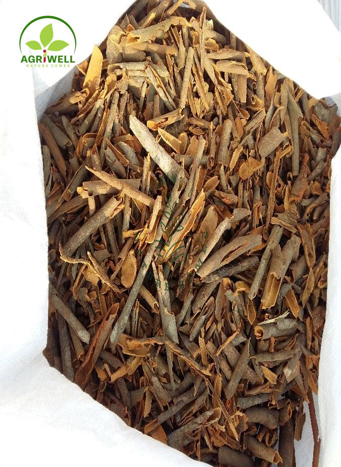 Vietnam Cinnamon Broken Vietnam Cinnamon Broken