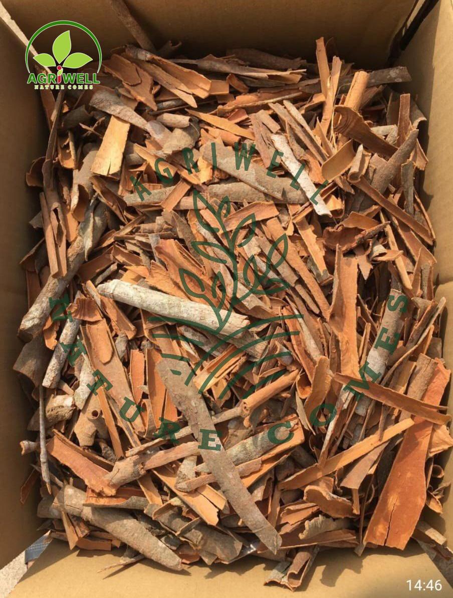 Vietnam Cinnamon Broken Vietnam Cinnamon Broken