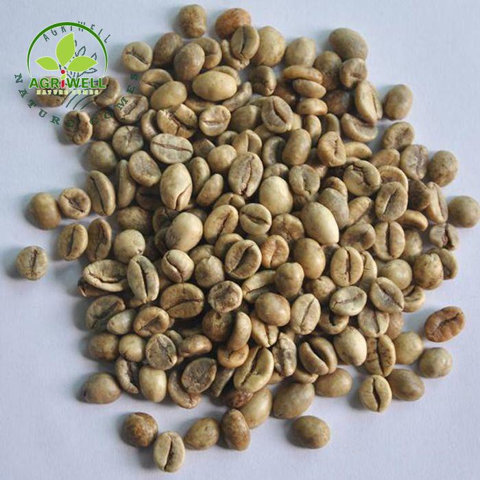 Robusta Coffee Wet Polished Robusta Coffee Wet Polished