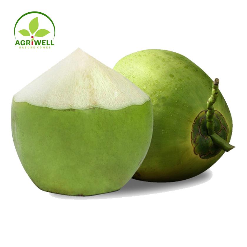 Fresh Young Coconut Fresh Young Coconut