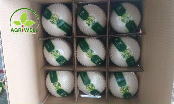 Fresh Young Coconut Fresh Young Coconut