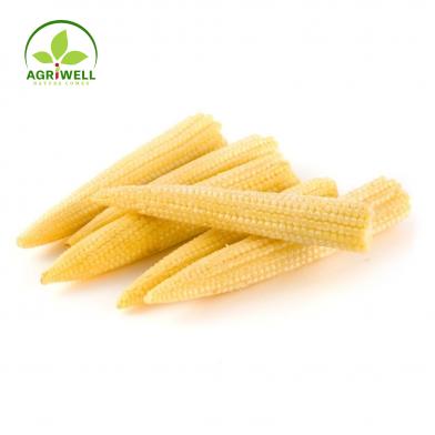 Baby Corn Baby Corn