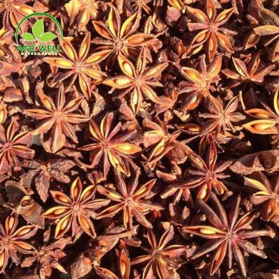 Autumn Star Anise