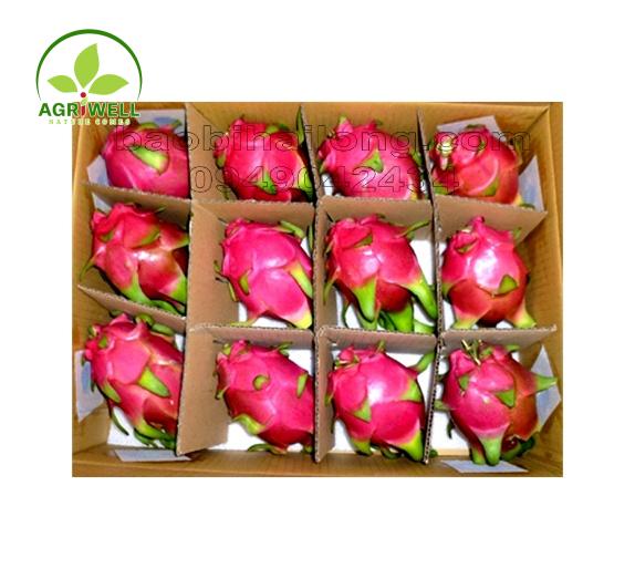 Dragon Fruit Dragon Fruit