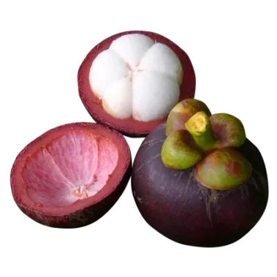 Mangosteen