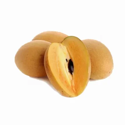 Sapodilla