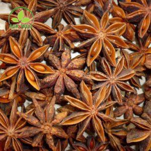 Sping Star Anise Sping Star Anise