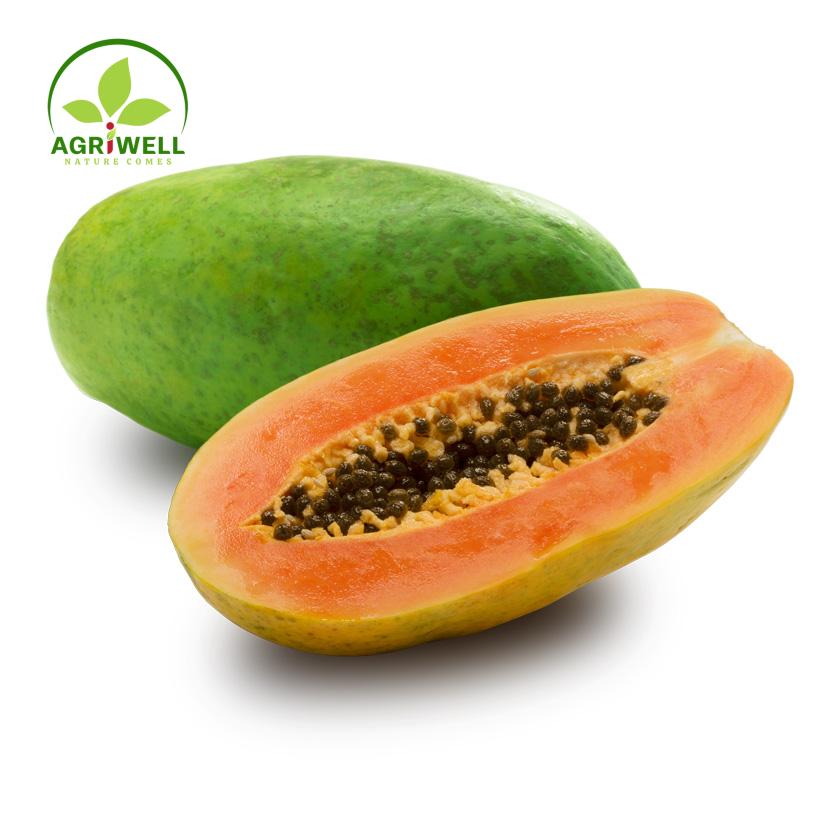 Papaya Papaya