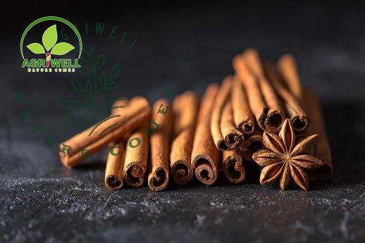 Vietnam Cinnamon Stick / Cigar Cinnamon Vietnam Cinnamon Stick / Cigar Cinnamon