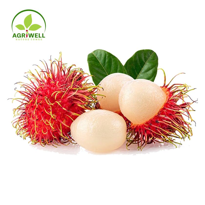 Fresh Rambutan Fresh Rambutan