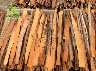 Vietnam Cinnamon Split Vietnam Cinnamon Split