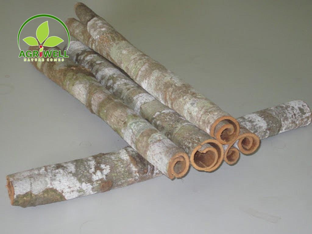 Vietnam Cinnamon Whole Tube Vietnam Cinnamon Whole Tube