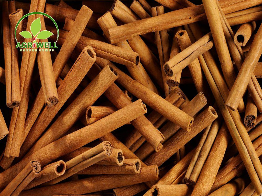 Vietnam Cinnamon Stick / Cigar Cinnamon Vietnam Cinnamon Stick / Cigar Cinnamon