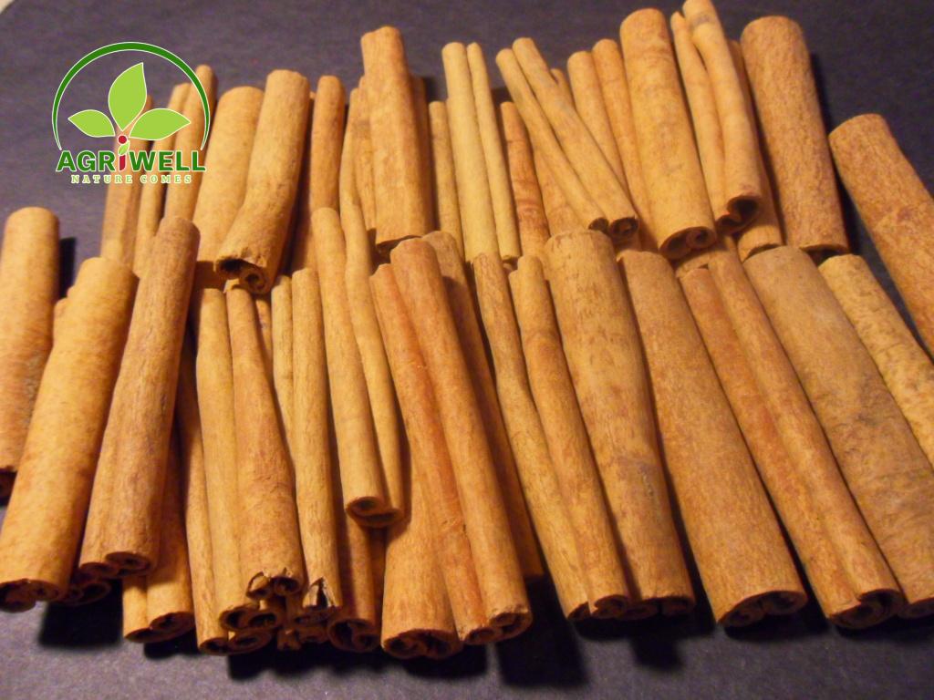 Vietnam Cinnamon Stick / Cigar Cinnamon Vietnam Cinnamon Stick / Cigar Cinnamon